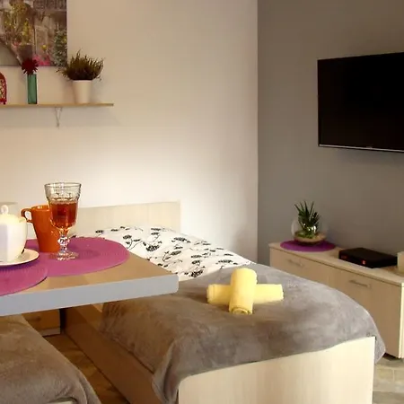 Apartmán Apartament Na Pradze